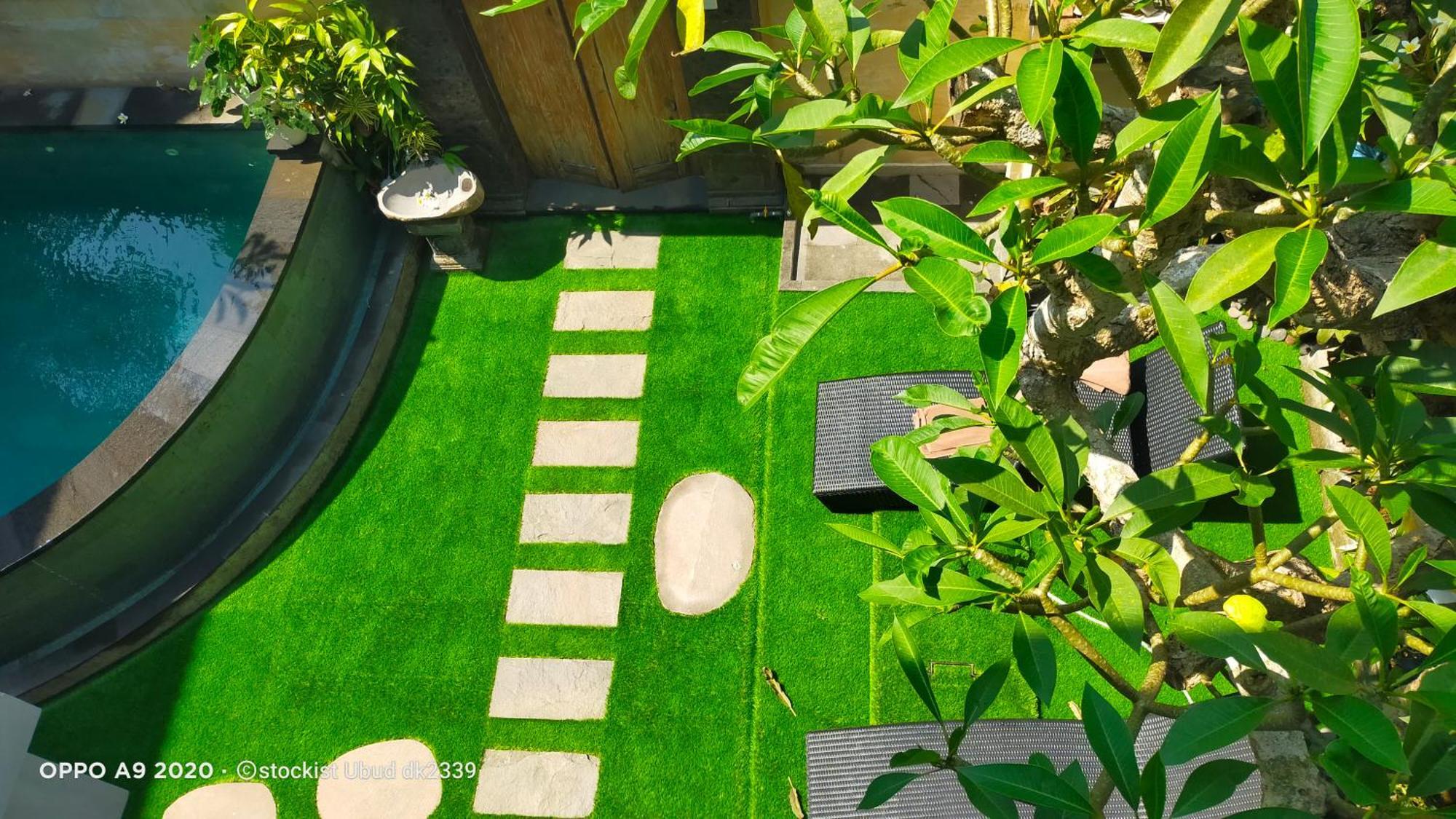 Danu House Ubud Exteriér fotografie