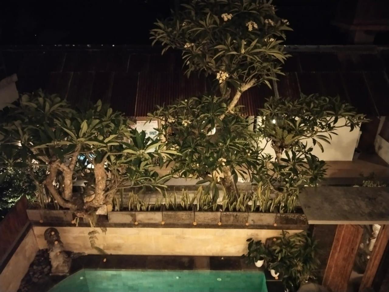 Danu House Ubud Pokoj fotografie